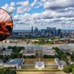 South London Bonfire Night Fireworks 2025: Top 5 Displays