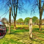 New Addington Croydon: Parks, Bus Links, and Suburban Living