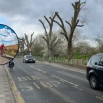 Woolwich Common bike path plans risk 50+ trees removal
