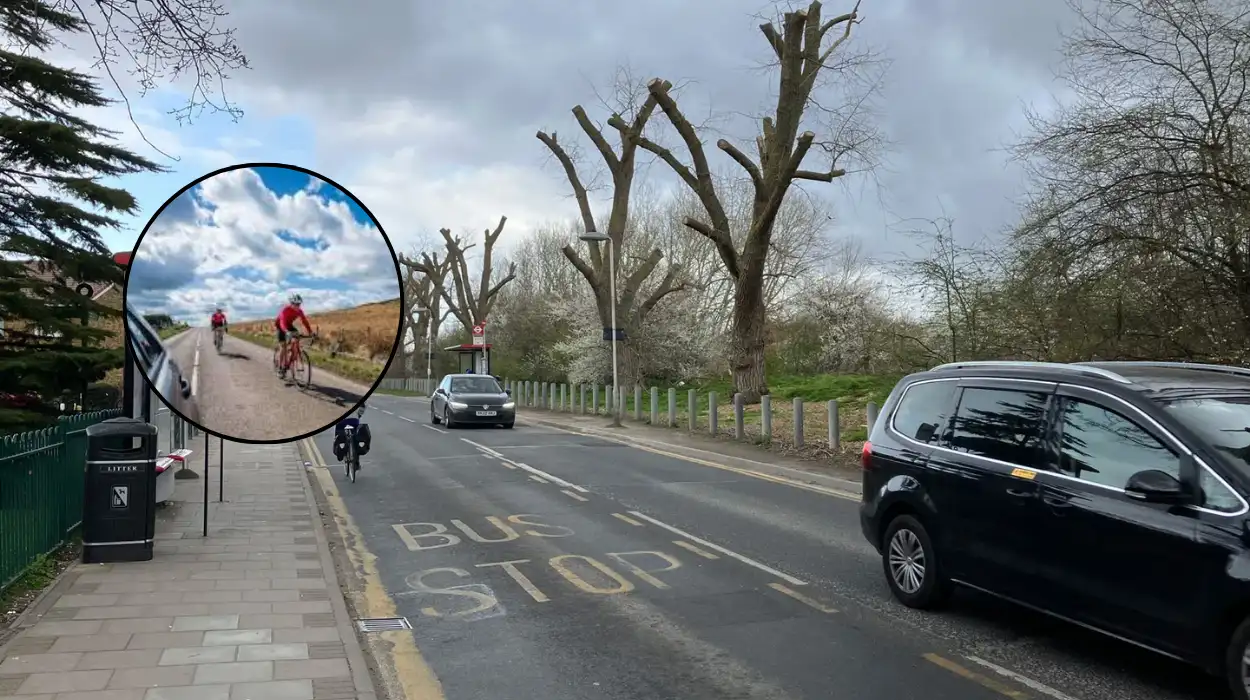 Woolwich Common bike path plans risk 50+ trees removal