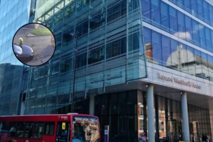 Croydon Mayor Faces Backlash Over Disabled-Bay Parking Controversy