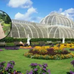 Discover South London Kew: Gardens, History, and Riverside Charm