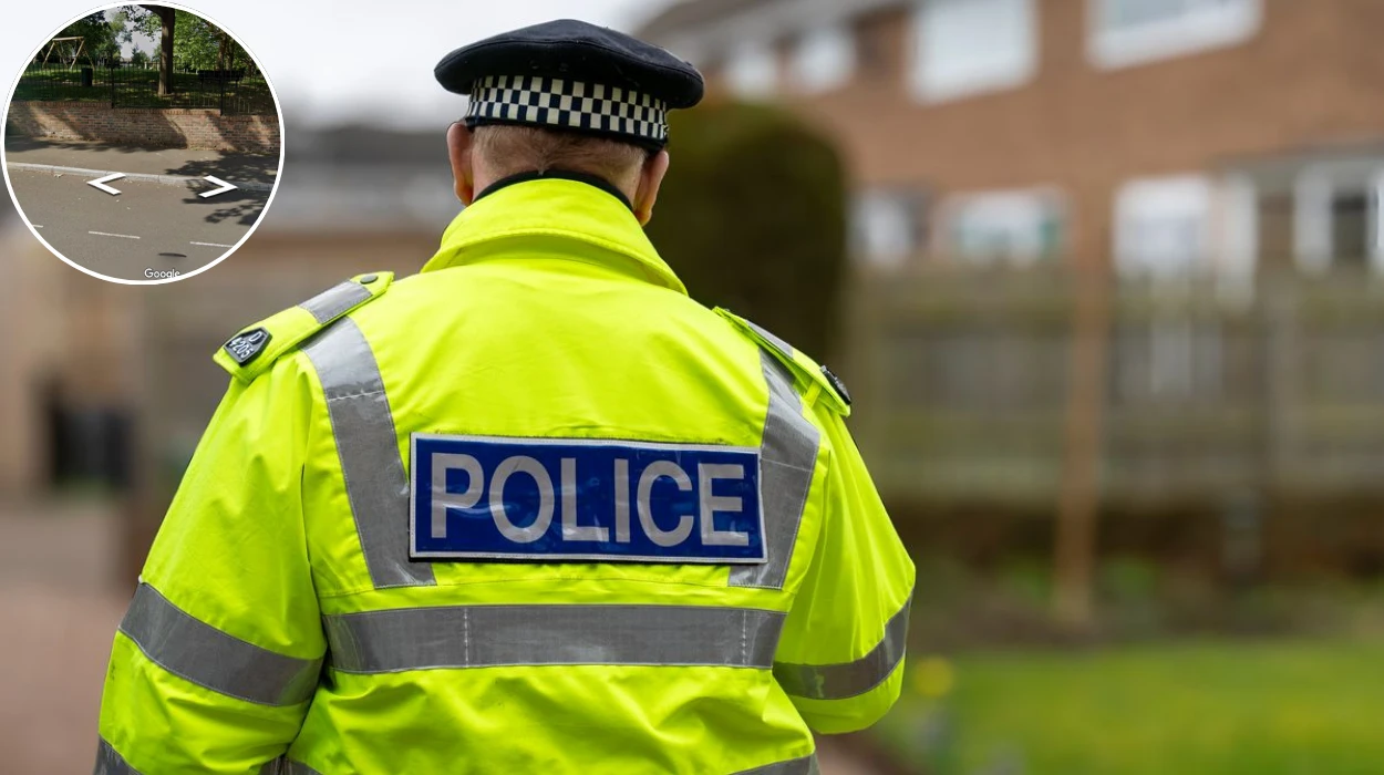 Woman, 27, 'attacked in park' as 'thug runs off with phone and cash'