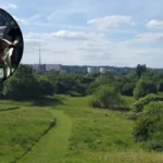 Beavers Return to South Norwood Park, Croydon Perry, Citizen Zoo Plans