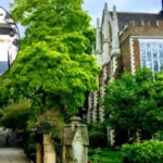 Cheapest Petrol Prices Bexley Bromley January 2026 