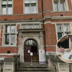 Croydon Council Plans Beavers at South Norwood Park Rewilding Project