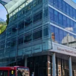 Croydon Council Sewage Leak Won't Stop Beavers in South Norwood Park