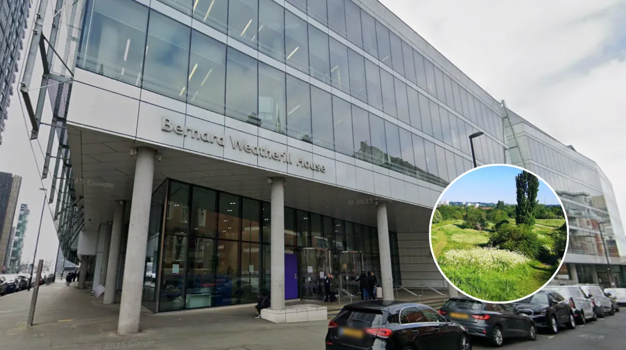 Croydon Council: Sewage Leak Won't Stop South Norwood Beavers