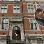 Croydon Council: Sewage Won't Stop South Norwood Beaver Rewilding​