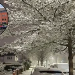 Discover Purley South London's Hidden Suburban Gem in Croydon