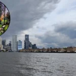 Discover Shirley South London History, Nature & Hidden Gems