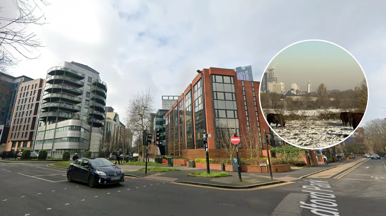 Free wildlife activities launched across Croydon