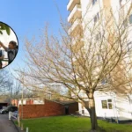 Greenwich Primary Schools Top DfE Rankings 2024-25