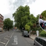 Lambeth country show axed amid council cost dispute