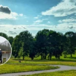 Police Hunt Missing 16-Year-Old Boy in Beckenham Place Park Lake