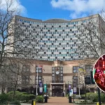 Start of the Line 2026: Soul II Soul Tops London's Cheapest Festival