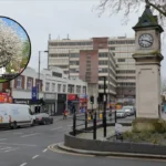 Thornton Heath South London: Ultimate Guide to History & Living