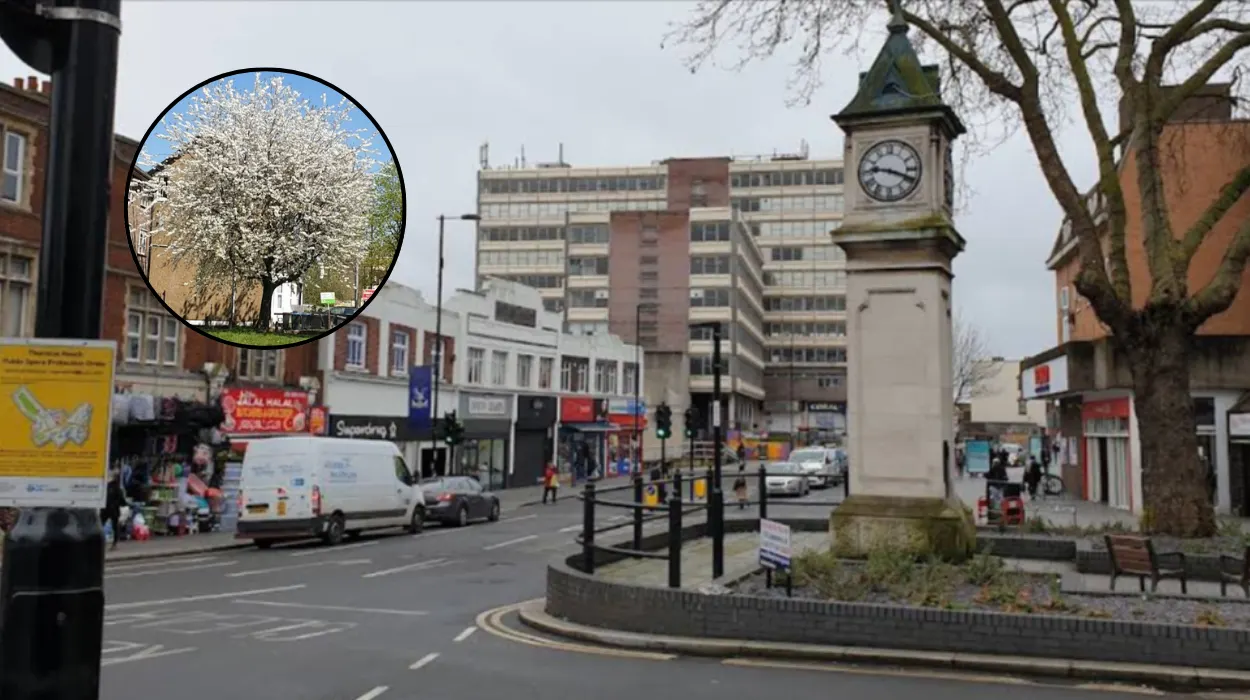 Thornton Heath South London: Ultimate Guide to History & Living