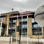 Bexley Pothole Row MP Francis Slams Council Repairs