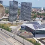 CHAT's Virtual Balloon Race Funds Cats for 40th Anniversary