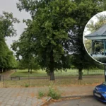 Discover Ruskin Park South London's Victorian Green Gem in Denmark Hill