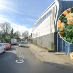 Discover West Norwood: South London's Historic Hidden Gem