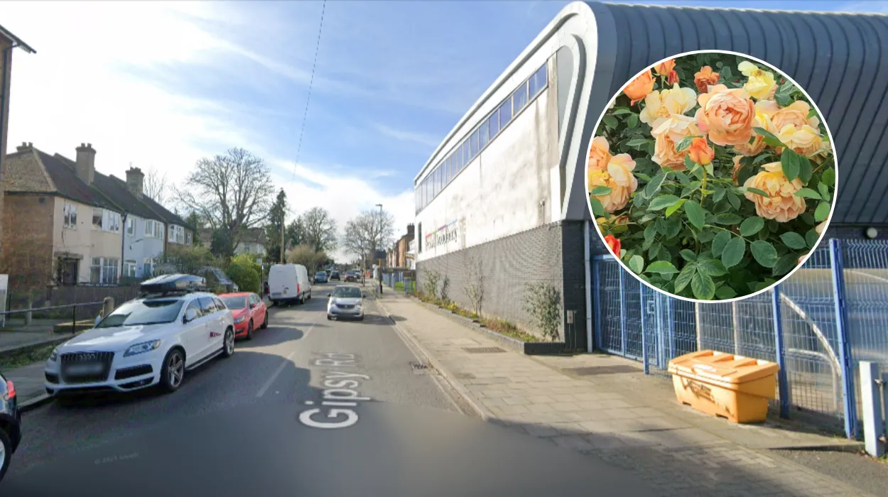 Discover West Norwood: South London's Historic Hidden Gem