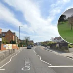 Historic Norwood Grove Dog Walkers' Haven Not for Sale, Needs TLC 2026