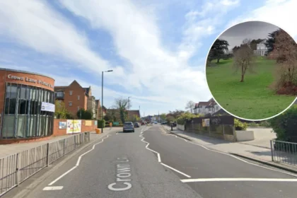 Historic Norwood Grove Dog Walkers' Haven Not for Sale, Needs TLC 2026