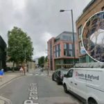 London's Tower Mustard Revival: Richmond Volunteers Save Rare Plant 2026