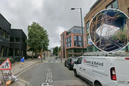 London's Tower Mustard Revival: Richmond Volunteers Save Rare Plant 2026