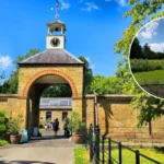 Morden South London History, Parks & Living Guide