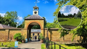 Morden South London History, Parks & Living Guide