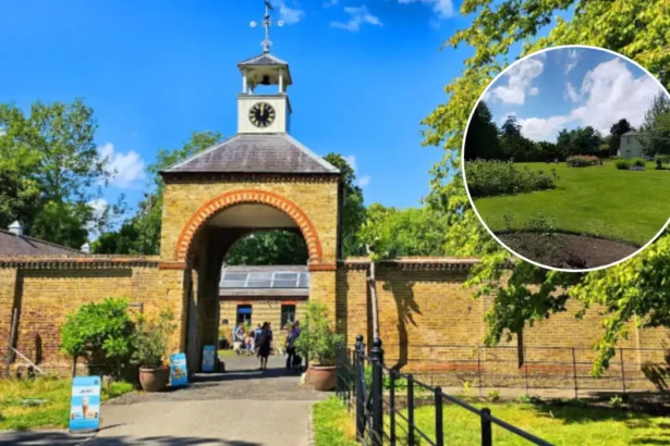 Morden South London History, Parks & Living Guide