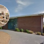 Southwark Park Galleries Spring 2026: Aparicio, Waszak & Large Exhibitions 2026