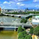 Sussex & Surrey Tulip Displays Near South London 2026