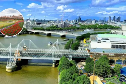 Sussex & Surrey Tulip Displays Near South London 2026