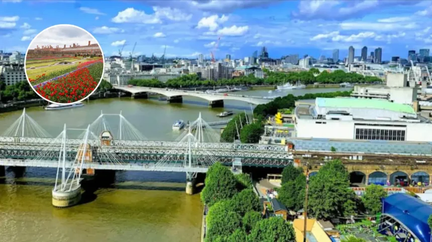 Sussex & Surrey Tulip Displays Near South London 2026