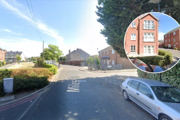 Ultimate Guide to Mitcham South London's Historic Lavender Gem