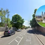 Where to See Snowdrops Blooming Across London 2026