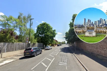 Where to See Snowdrops Blooming Across London 2026