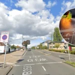 Woman Taken to Hospital After Twickenham Flat Fire 2026