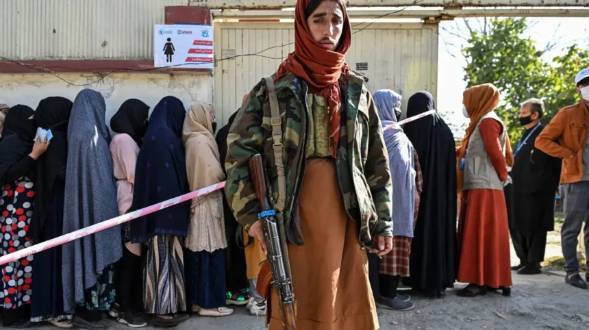 ACAA Condemns Taliban’s “Criminal Procedure Regulation of the Courts” Targeting Women, Ethnic Minorities