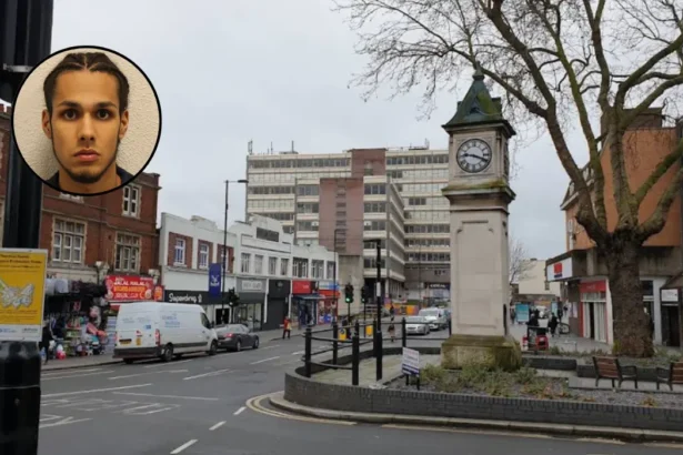 Man Flees to Pakistan After Croydon Stabbing Convicted 2026