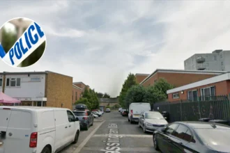 Man Stabbed in Lewisham's Bircham Path Taken to Hospital 2026