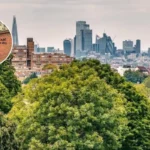 Pensioner 'Wins Lottery' in New Sydenham Flat 2026