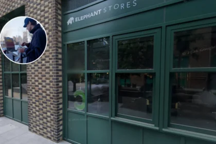 Ted McKenzie: New Blood Artist at Little Louie 2026