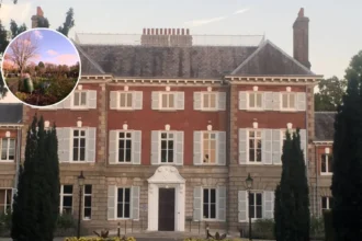 Teddington Allotments Lost to Cemetery - Petition Fails 2026