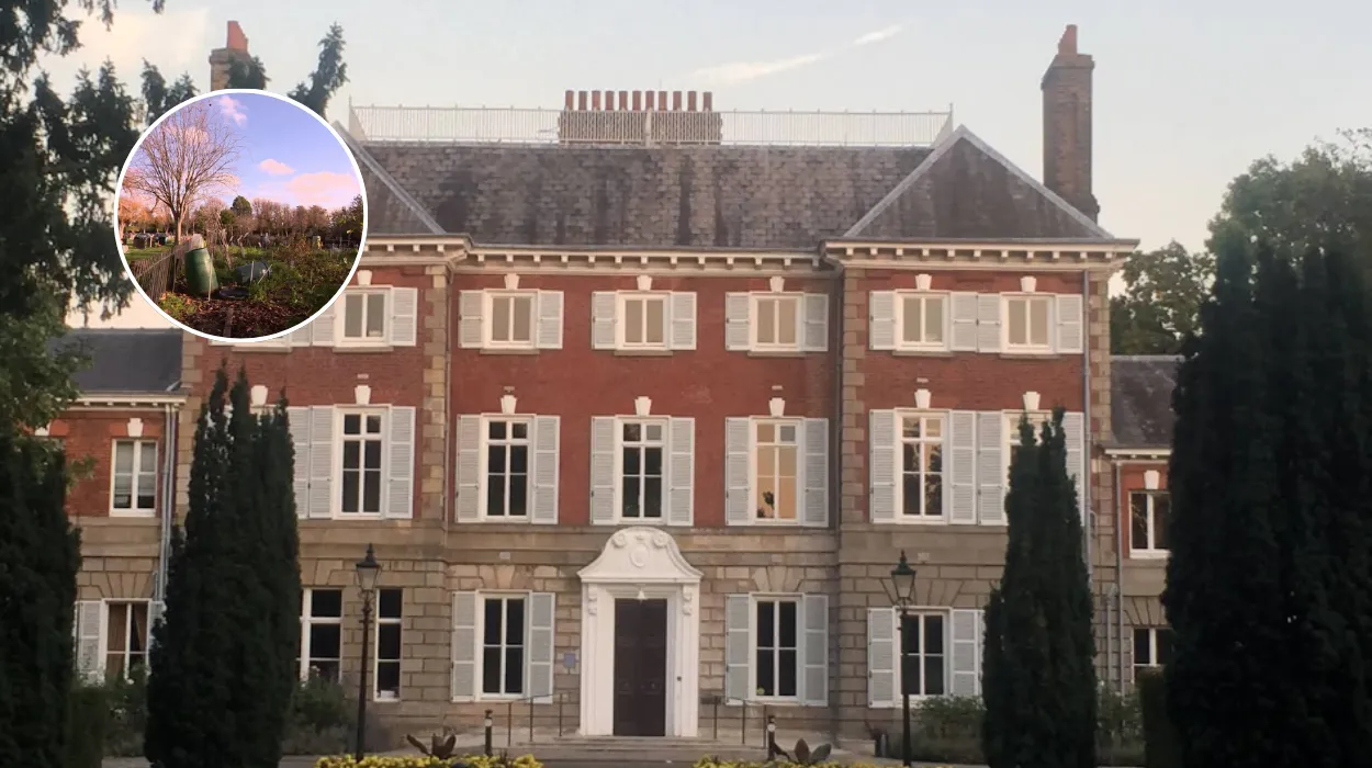 Teddington Allotments Lost to Cemetery - Petition Fails 2026