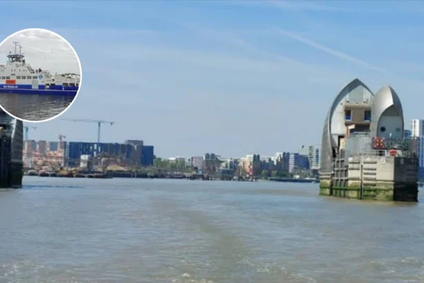 Woolwich Ferry One-Boat Service for Engine Works 2026